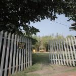 Private Villa 9