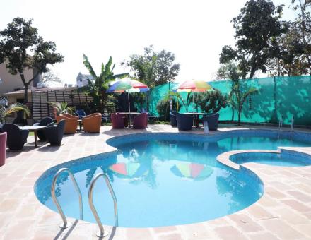A Pool with a View: The Ultimate Relaxation at Nature Nest Resort