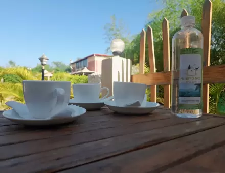 Tea with Nature: A Soulful Escape at Nature Nest Hotels & Resorts